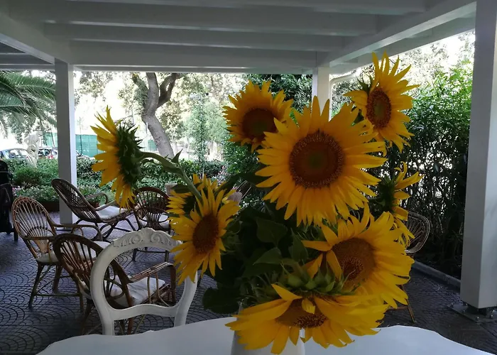 Mareverde * Senigallia