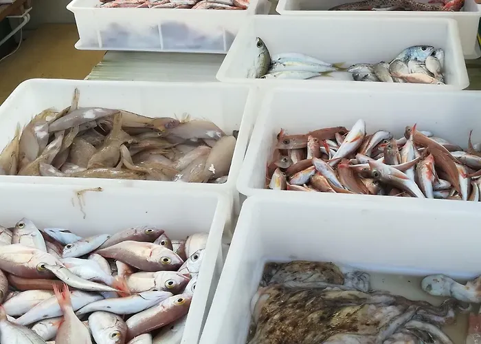 Mareverde Appartement Senigallia