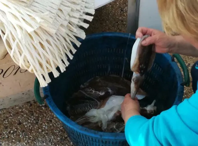 Appartement Mareverde